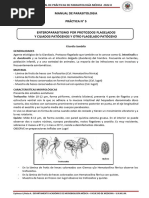 Manual de Parasitología Práctica #5: Giardia Lamblia