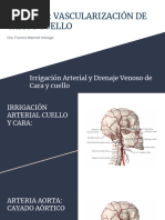 Vascularización Cara y Cuello