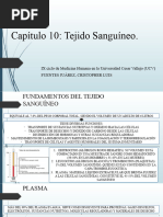 Capítulo 10 Tejido Sanguíneo