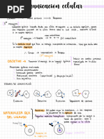 Resumen A1