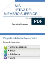 Anatomia Descriptiva Miembro Superior