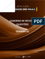 Caderno de Revisão Questões Semana 01