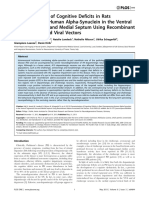 Characterization of Cognitive Deficits in Rats Overexpressing Human Alpha-Synuclein in The Ventral Tegmental Area and Medial Septum Using Recombinant Adeno-Associated Viral Vectors (2013)