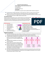 3.00bs. Dispositivos Intrauterino Diu