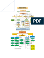 Mapa Conceptual ONTOGENESIS