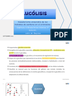 Tema 1 Metabolismo de La Glucosa