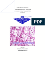 Histología Práctica. Tejido Conectivo - Adiposo