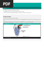 The Scapula - Surfaces - Fractures - Winging - TeachMeAnatomy