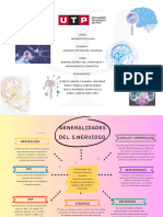 Generalidades Organizador PDF