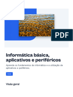 Informatica Basica Aplicativos e Perifericos