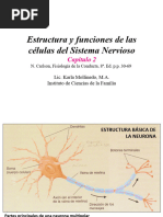 Neuronas