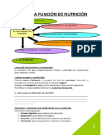 Cuaderno Cono 6 Primaria