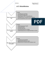 ACL and PCL Rehabilitation