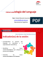 Nuerobiología Del Lenguaje, Razonamiento, Toma de Decisiones y Resolución de Problemas.