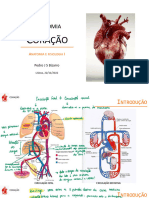 Anatomia Do Coração