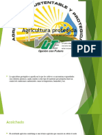 Agricultura Protegida