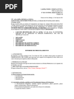 Formato de Informe 1