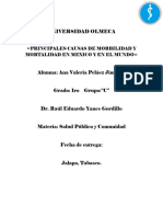 Principales Causas de Morbilidad y Mortalidad en Mexico y en El Mundo