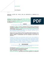 Modelo Acción de Tutela - Petición - Constitucional