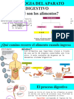 Aparato Digestivo 3ros