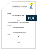 Ensayo Las Herramientas de Seguridad de Datos en Las Redes Sociales.