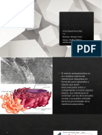 Retículo Endoplásmico GARCIA MEJIA Alvaro Eduardo 1°A