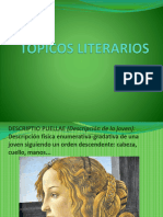 Tópicos Literarios