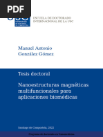 Nanoestructuras Magnéticas