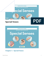 Special Senses