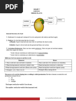 G5 Plant Notes 1