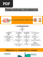 Sistema Circulatorio 