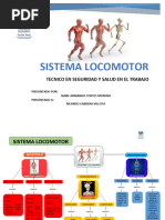 Trabajo 3 Sistema Locomotor Jaime Cortes