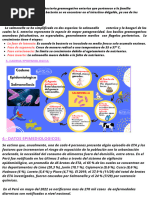 Resumen Epidemiologia Tarde