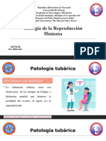 Patologia Tubarica