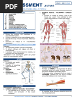 (H.a.) Chapter 14 - Musculoskeletal System