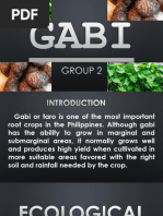 Gabi Info