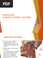 Angiologia Carotidas 1