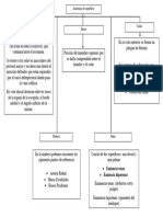 Mapa Conceptual