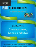 Heredity