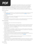 Documento33 - Inglés1