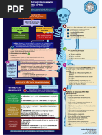 Algoritmo Artritis Septica Revision