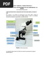 TP 1 Microscopía