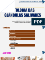 Patologia de Glandulas Salivares