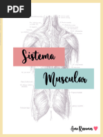 Sistema Muscular Resumo Natalia Porto 3