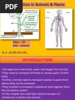 11.transportation in Plants & Animals