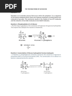 THE TEN REACTIONS OF GLYCOLYSIS - AND THE FATES OF PYRUVATEdocx