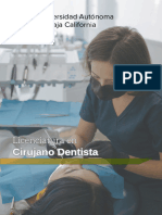 Lic en Cirujano Dentista