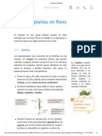 U8.2.Las Plantas Sin Flores