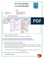 Ciencia - Vertebrados e Invertebrados - Martes 19