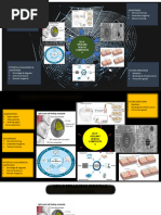 Presentation 1